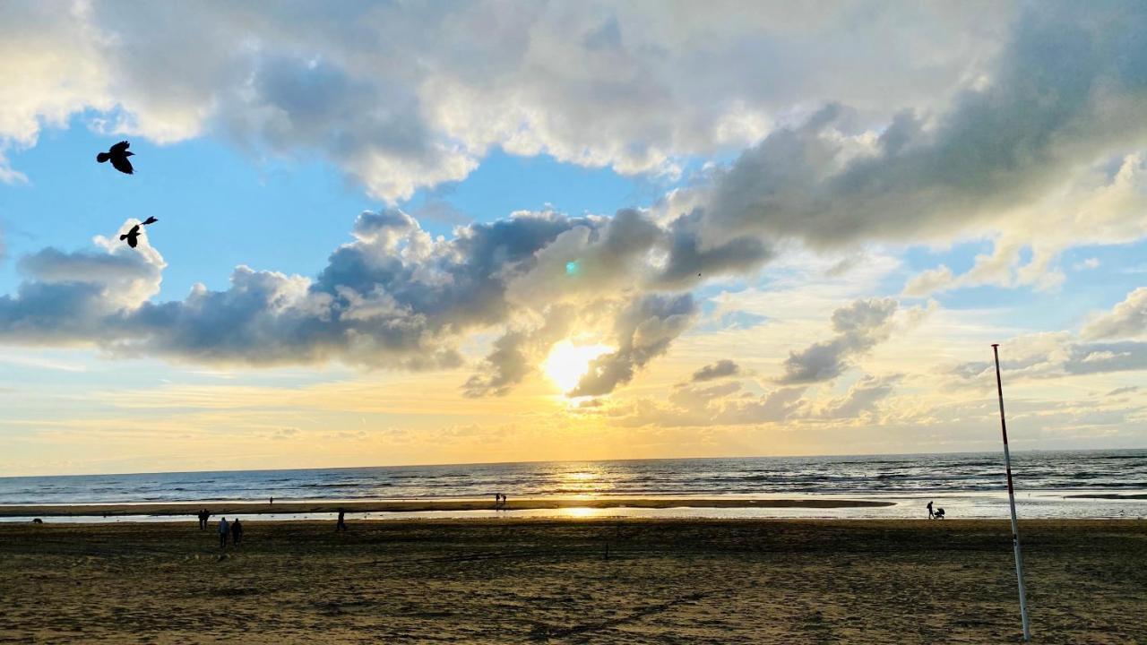 Mevira Appartement Zandvoort Exteriör bild